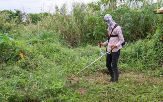 Atención a las áreas verdes, prioridad en Nanchital