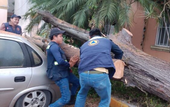 Seguimiento de afectaciones por Frente Frío 19