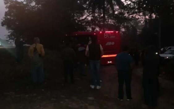 Colocan barricadas y asaltan a pasajeros de ADO en el sur de Veracruz