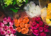 ¿Cuál es el significado del color de las rosas en San Valentín?