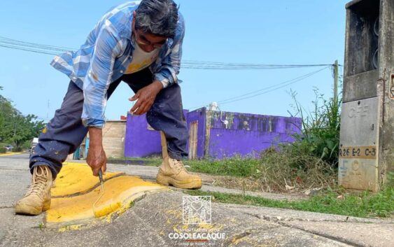 PINTA DE GUARNICIONES EN EL FRACCIONAMIENTO LOS MANGOS