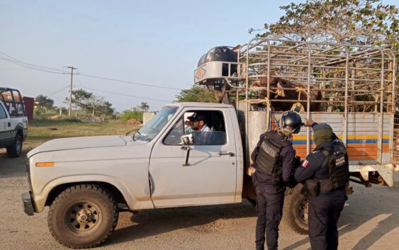 Despliegue SSP patrullajes aéreos y terrestres en zona sur