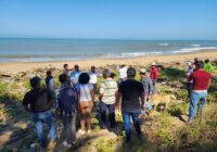 Ayuntamiento de Coatzacoalcos impulsa certificación de “Campamento Tortuguero”