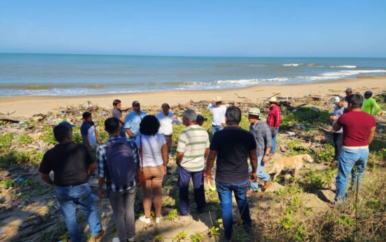 Ayuntamiento de Coatzacoalcos impulsa certificación de “Campamento Tortuguero”