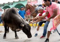 Más de 400 policías cuidarán las fiestas de la Candelaria