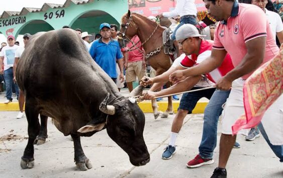 Más de 400 policías cuidarán las fiestas de la Candelaria