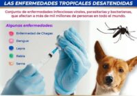 Informa IMSS Veracruz Sur sobre Enfermedades Tropicales Desatendidas
