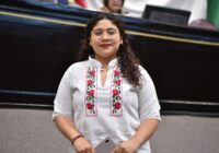 Garantizar bienestar animal, pide Diputada