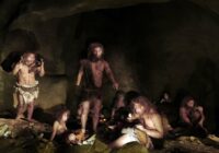 Los neandertales ‘gourmets’ cocinaban marisco y cazaban elefantes gigantes en modo cooperativo