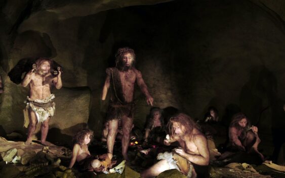 Los neandertales ‘gourmets’ cocinaban marisco y cazaban elefantes gigantes en modo cooperativo