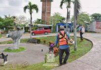 Llevan  a cabo limpieza de calles en Cosoleacaque