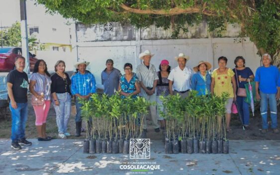 FOMENTO AGROPECUARIO ENTREGA PLANTAS DE LIMÓN PERSA EN BARRANCAS