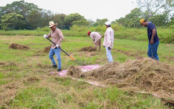 Atención permanente en espacios deportivos de Nanchital