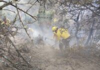 Reporte de incendios forestales