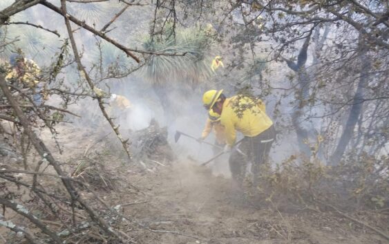 Reporte de incendios forestales