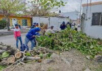 Sin daños mayores en el municipio por Frente Frío 28: Alcalde JM Unánue