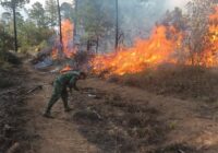 Seguimiento a incendios forestales