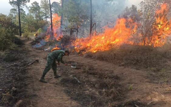 Seguimiento a incendios forestales