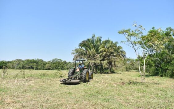 CHAPEO CON MAQUINARIA EN LOCALIDAD DE CERRO BLANCO