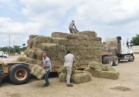 Gobierno de Cosoleacaque apoya a productores ganaderos