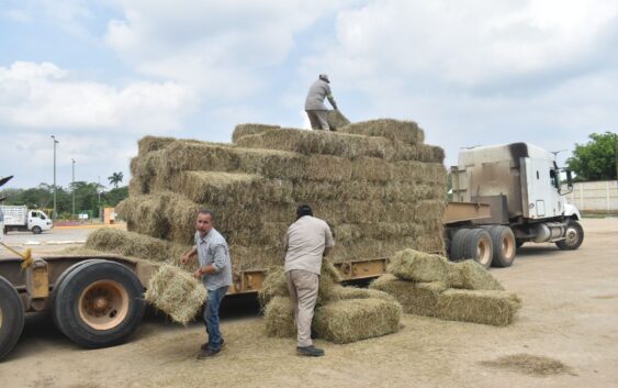 Gobierno de Cosoleacaque apoya a productores ganaderos