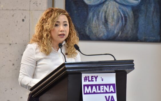 Propone diputada Itzel López tipificar la Violencia Ácida