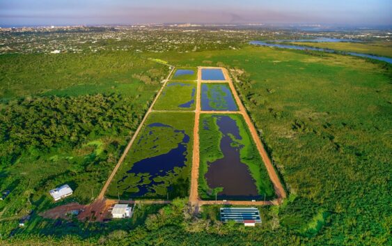 Arranca Planta de Tratamiento; playa de Coatzacoalcos, libre de descargas