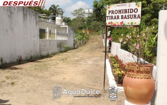 Con el programa En lugar de basura, flores, se transforman espacios públicos