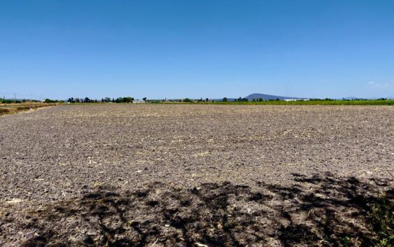 Sequía amenaza la agricultura; casi todo el país está seco
