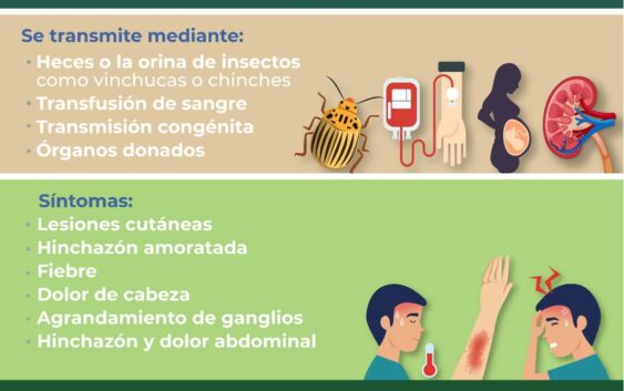 Informa IMSS Veracruz Sur sobre enfermedad de chagas