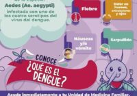 Hace IMSS Veracruz Sur llamado a no bajar la guardia ante dengue