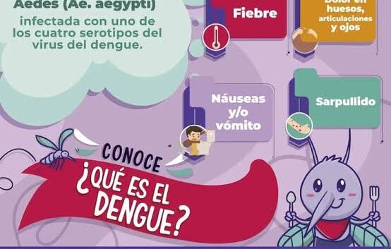 Hace IMSS Veracruz Sur llamado a no bajar la guardia ante dengue