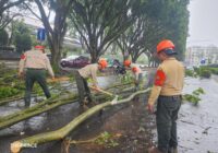 Reporte de afectaciones por viento fuerte en Xalapa