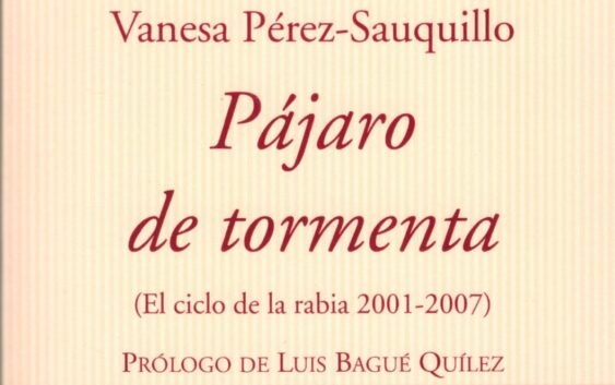 5 poemas de Pájaro de tormenta, de Vanesa Pérez-Sauquillo