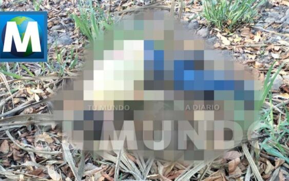 Ejecutan a taxista de Cuitláhuac