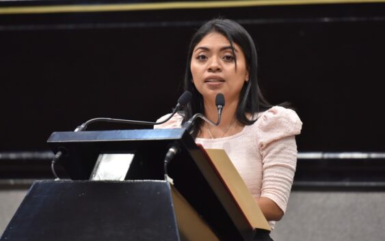 Evitar uso de pirotecnia en el estado, propone Diputada