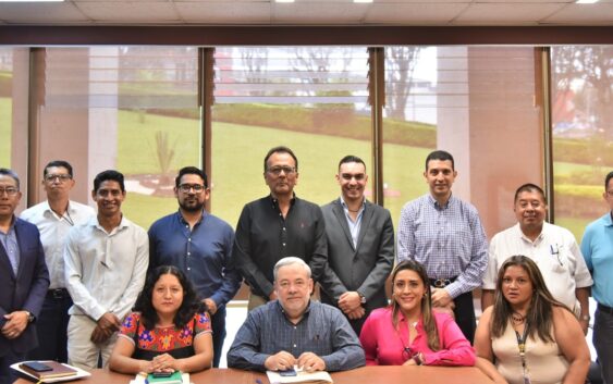 Aprueban proyectos de protocolos y convocatorias para consultas