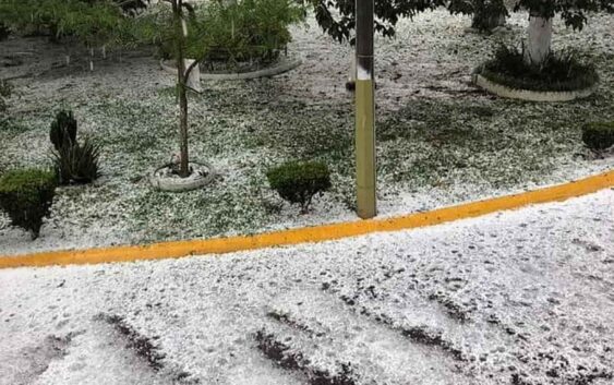 Granizada azota a la región de Xalapa, Banderilla y Coatepec