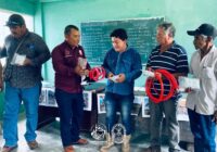 Combate Ayuntamiento amarillamiento letal en ejidos de Coatzacoalcos