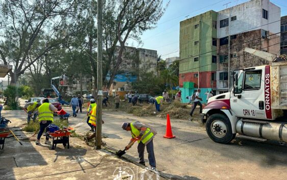 Mejoran imagen urbana en la colonia Vistalmar