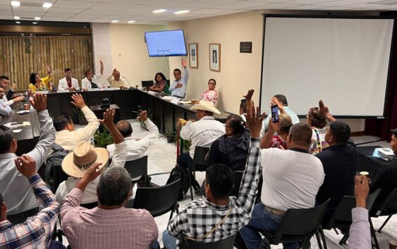 Dan seguimiento a resultados de las consultas a pueblos indígenas y afromexicanos