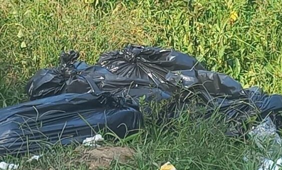 Abandonan restos de dos personas en bolsas negras en Zongolica