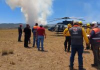 Se registran 20 incendios forestales en el estado de Veracruz, al corte de las 14 horas