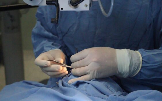 Llama IMSS Veracruz Sur a donar órganos