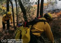 Resumen de incendios forestales al 20 de junio de 2023