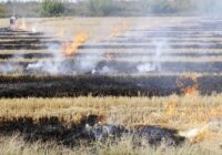 Se prohibirán las quemas agrícolas en Veracruz por dos meses debido a la ausencia de lluvias