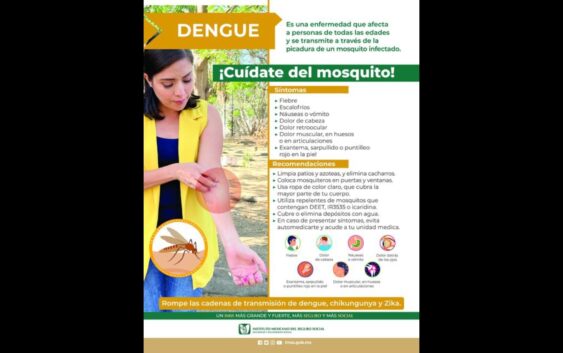 Recomienda IMSS Veracruz Sur prevención contra dengue