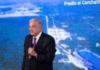 AMLO muestra jaguar para negar afectación por Tren Maya, pero el video se grabó en Brasil