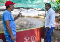 Avanzan pescadores de Coatzacoalcos con proyectos acuícolas