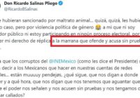 EL INE DETERMINA QUE RICARDO SALINAS EJERCIÓ VIOLENCIA POLÍTICA DE GÉNERO CONTRA CITLALLI HERNÁNDEZ.